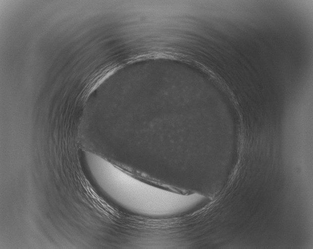 X0000085020977200704021423