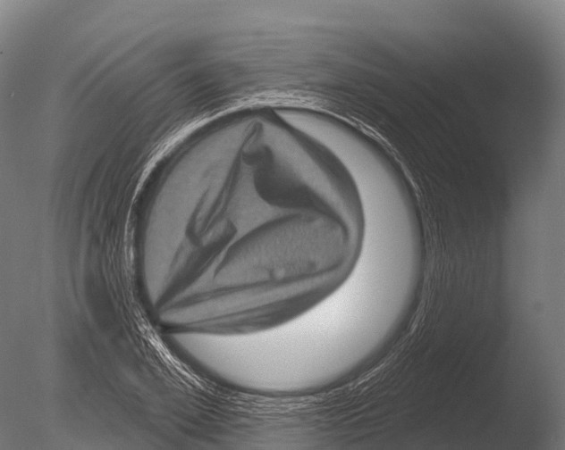 X0000085020981200704021422