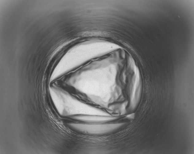 X0000085020983200704021422