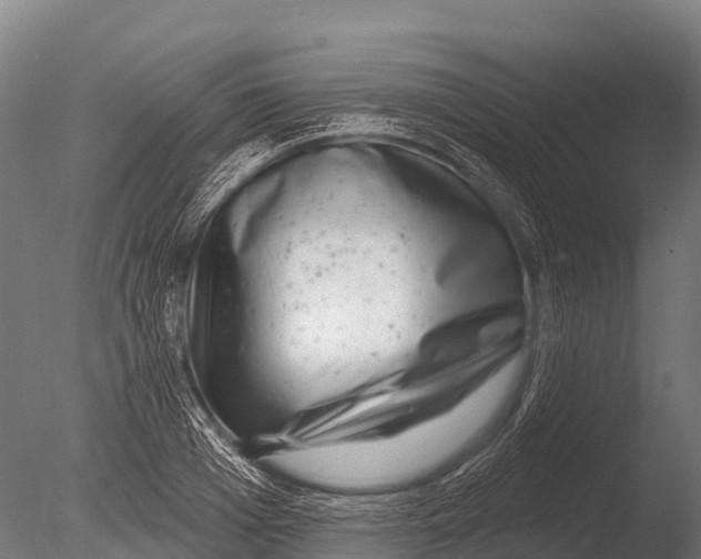 X0000085020985200704021422