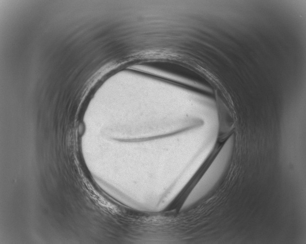 X0000085020992200704021422