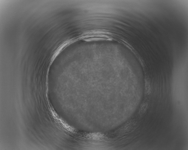 X0000085020994200704021422