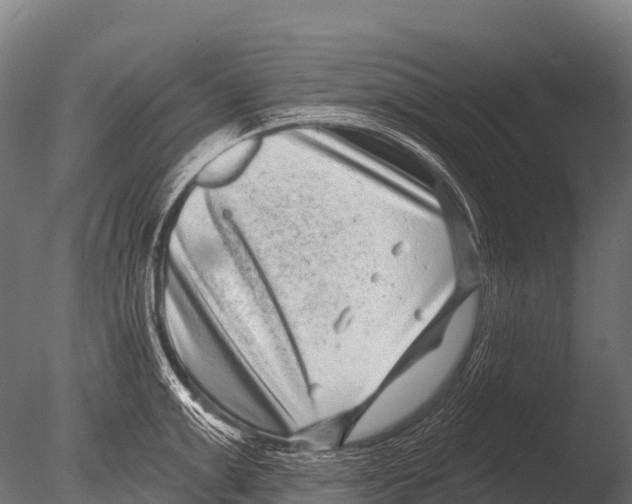 X0000085020999200704021422