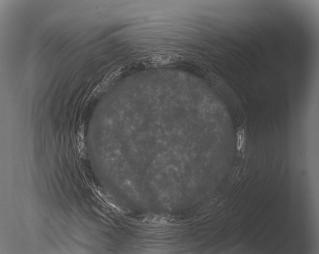 X0000085021011200704021421