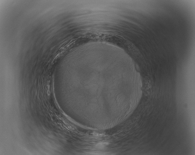 X0000085021013200704021421