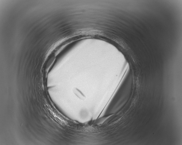 X0000085021022200704021421