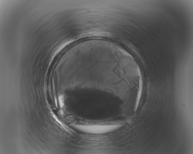 X0000085021024200704021421