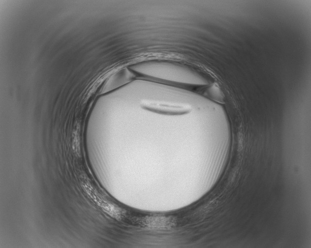 X0000085021025200704021421