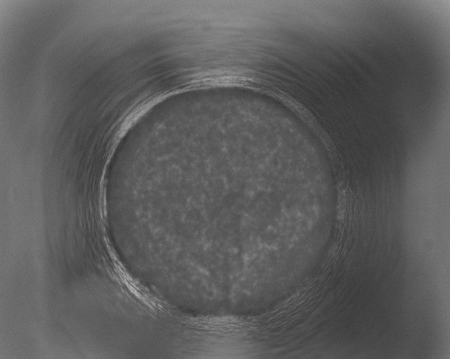 X0000085021031200704021422
