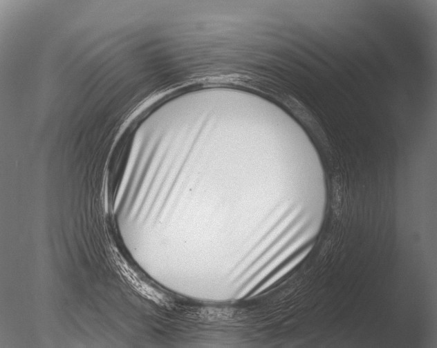 X0000085021036200704021422