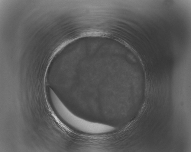 X0000085021037200704021422