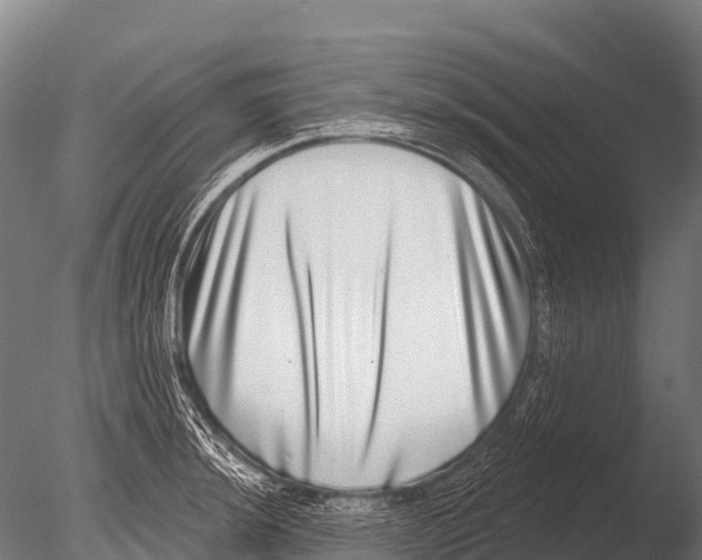 X0000085021044200704021422