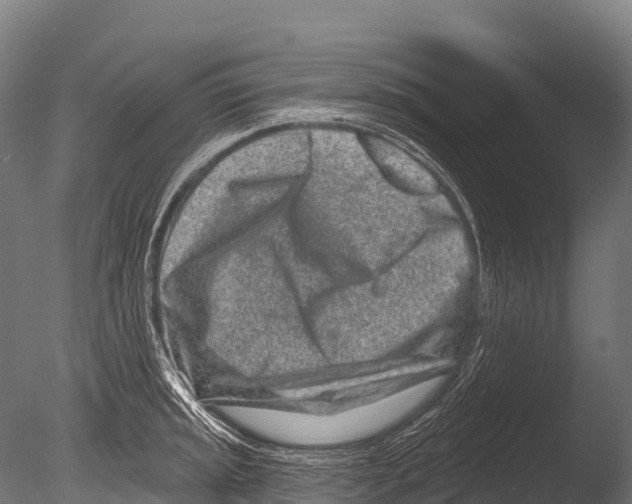 X0000085021045200704021422