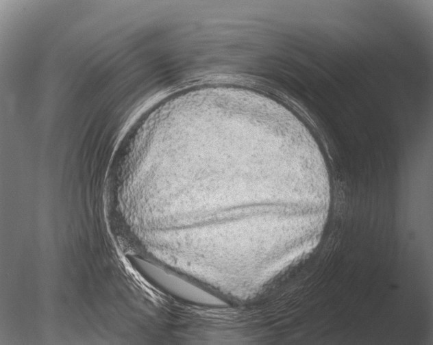 X0000085021048200704021422