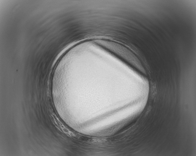 X0000085021052200704021422