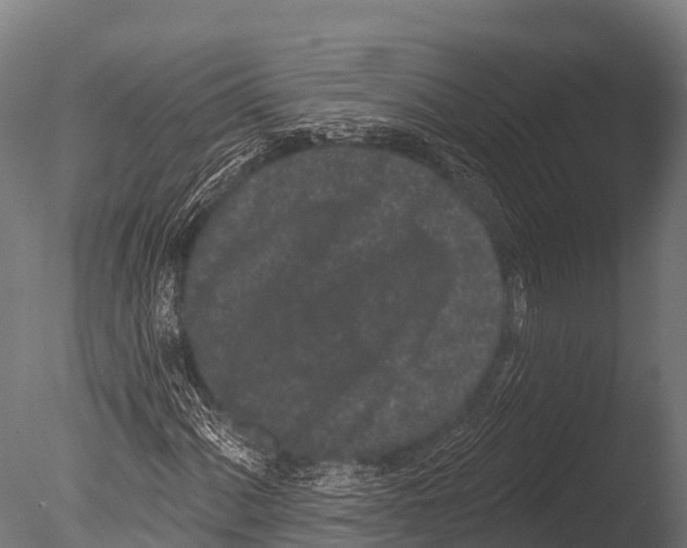 X0000085021060200704021421