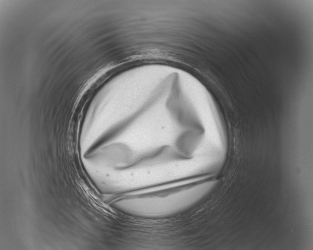 X0000085021068200704021421