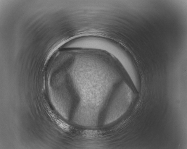 X0000085021069200704021421