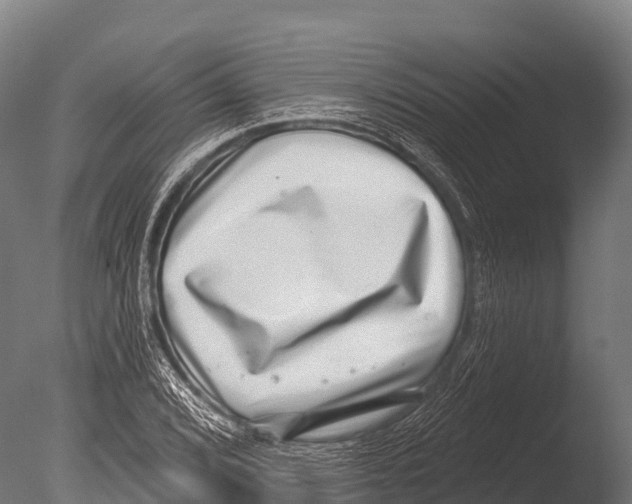X0000085021072200704021421