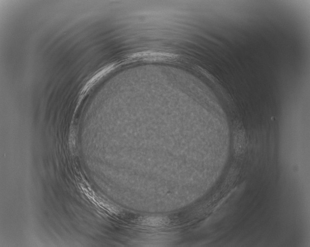 X0000085021074200704021421