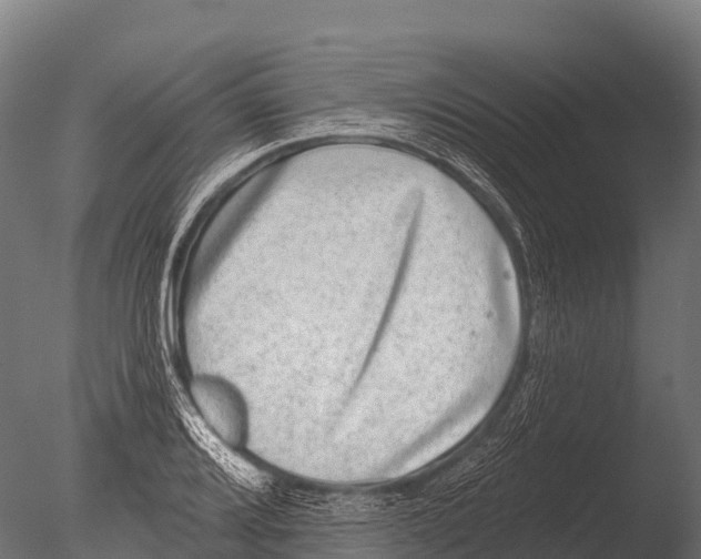 X0000085021080200704021421