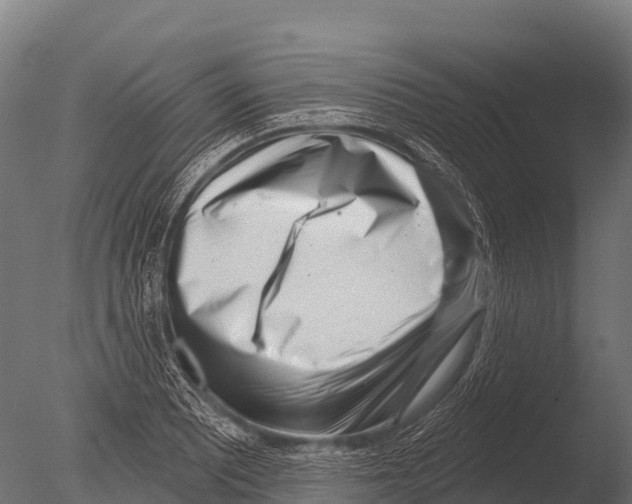 X0000085021081200704021421