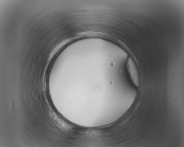 X0000085021082200704021421