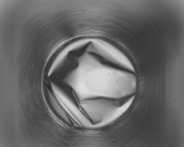 X0000085021085200704021421