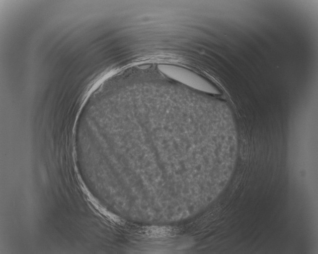 X0000085021087200704021421