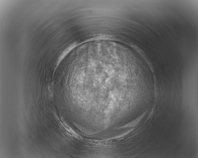 X0000085021097200704021420