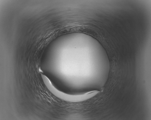 X0000085021109200704021420