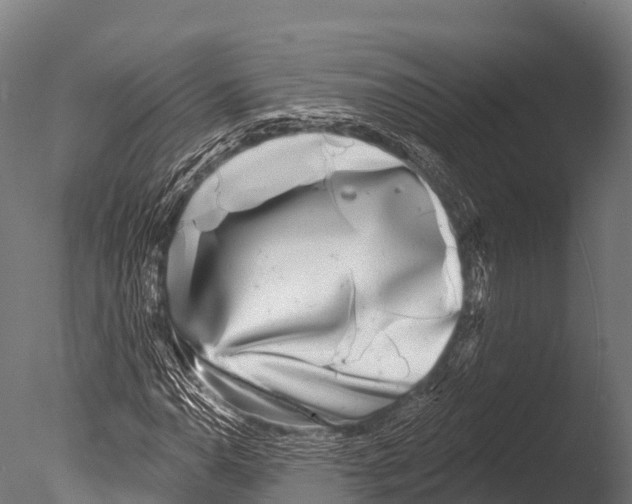 X0000085021110200704021420