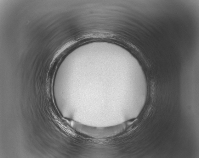X0000085021114200704021420