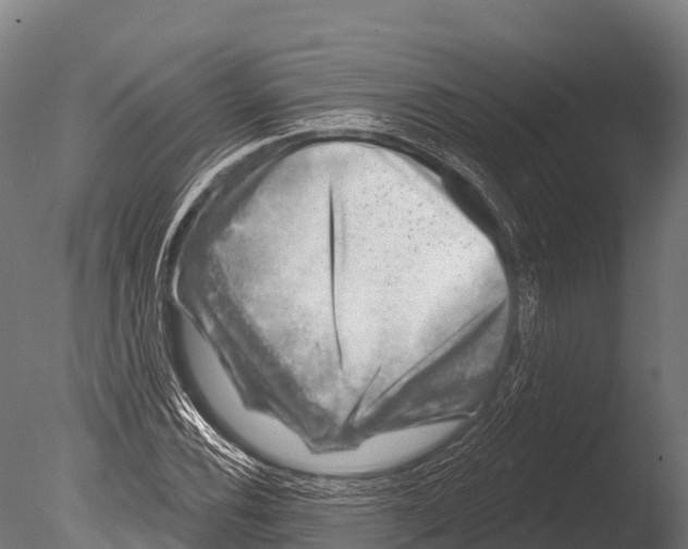 X0000085021116200704021420