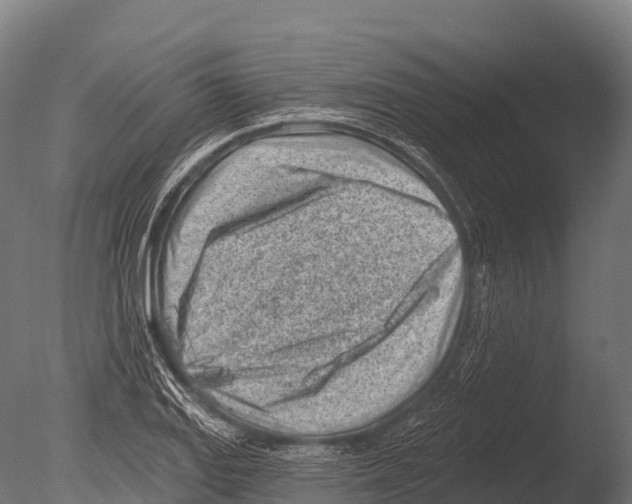 X0000085021127200704021420