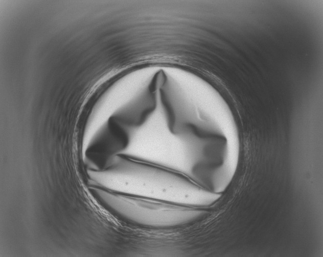 X0000085021133200704021420