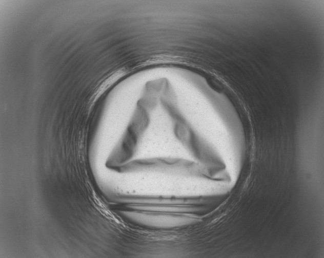 X0000085021137200704021420
