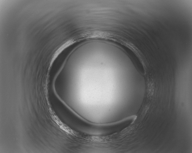 X0000085021138200704021420