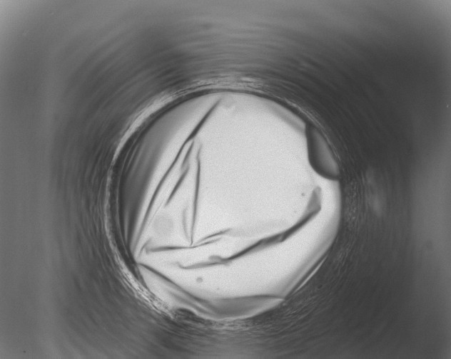 X0000085021139200704021420