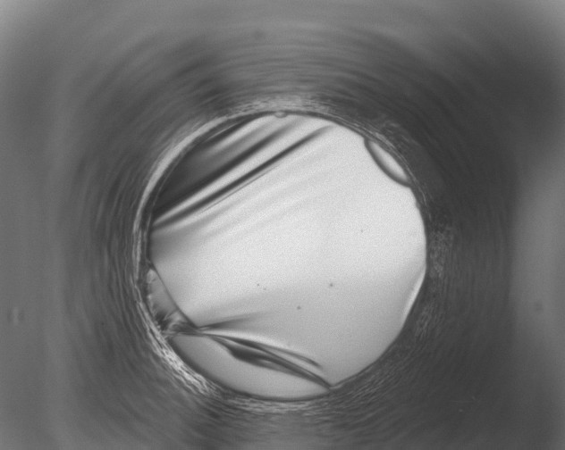X0000085021140200704021420