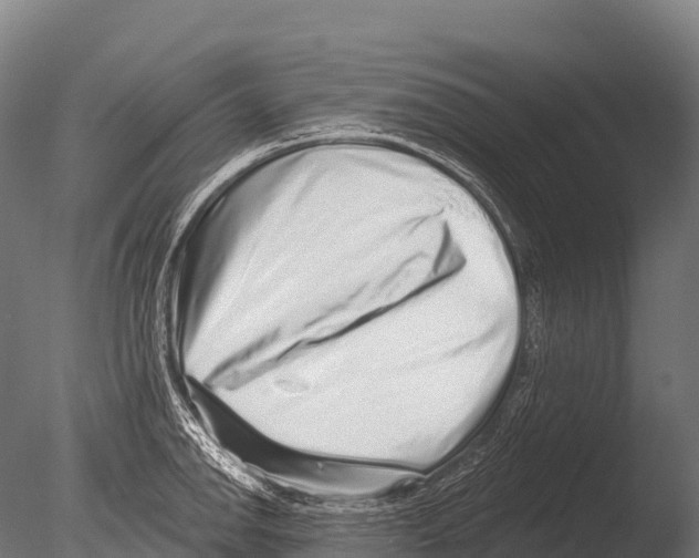 X0000085021142200704021420