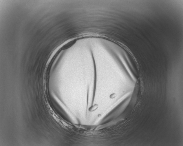 X0000085021148200704021420