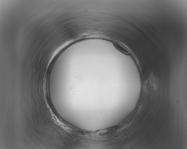 X0000085021149200704021420