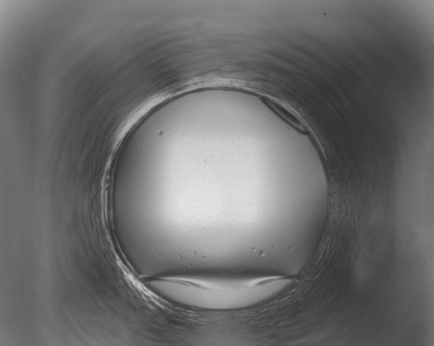 X0000085021151200704021420