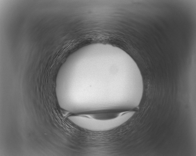 X0000085021153200704021419
