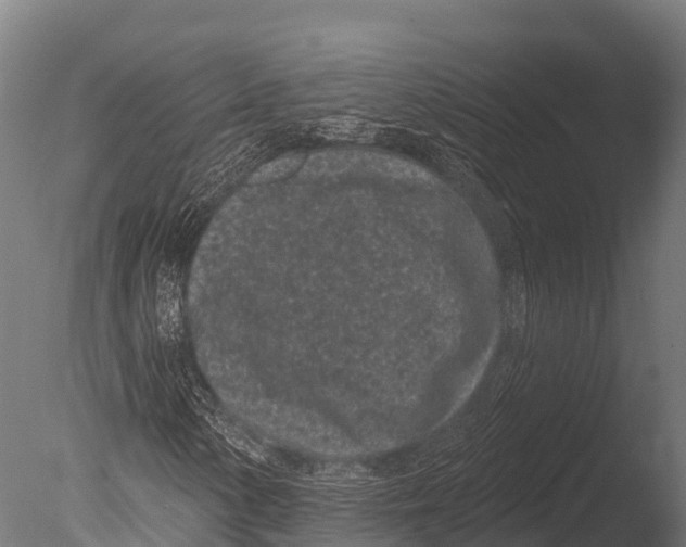X0000085021154200704021419