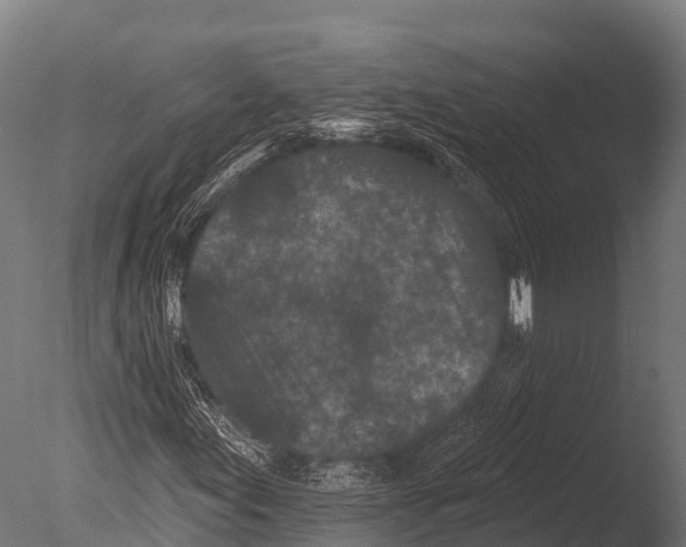 X0000085021155200704021419