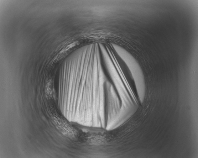 X0000085021156200704021419