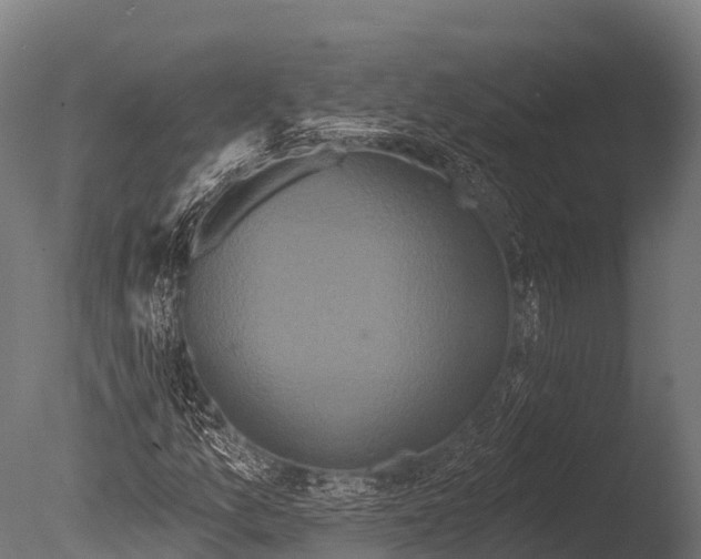 X0000085021157200704021419