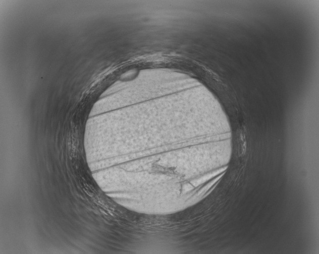 X0000085021158200704021419